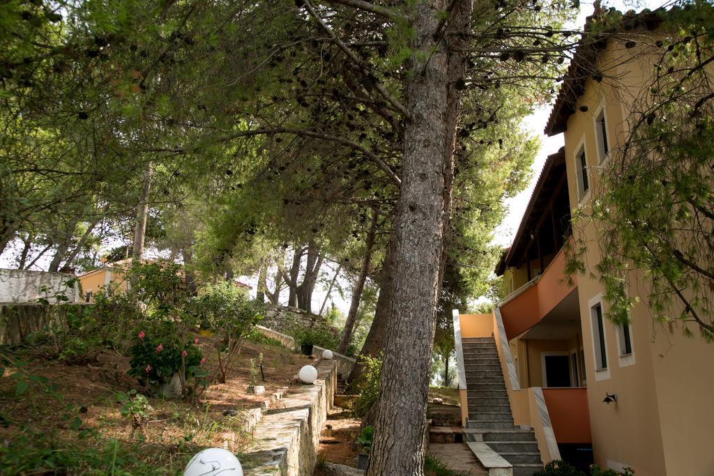 Almyros Studios & Apartments Kounopetra 外观 照片